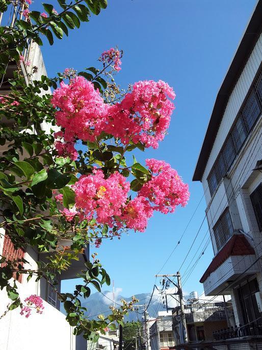 Literature River Bank 文學河岸 民宿 Hualien Exterior foto