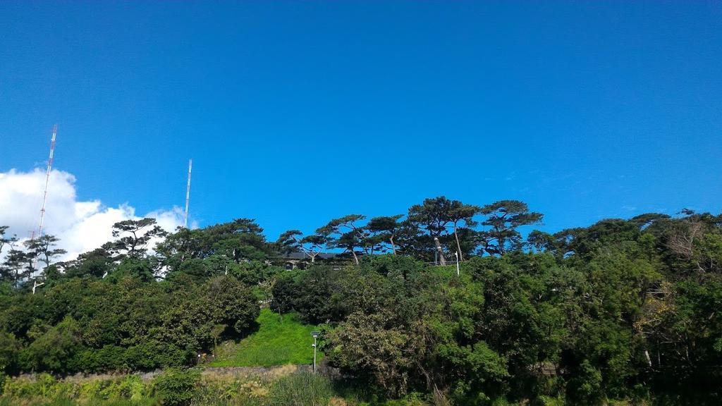 Literature River Bank 文學河岸 民宿 Hualien Exterior foto