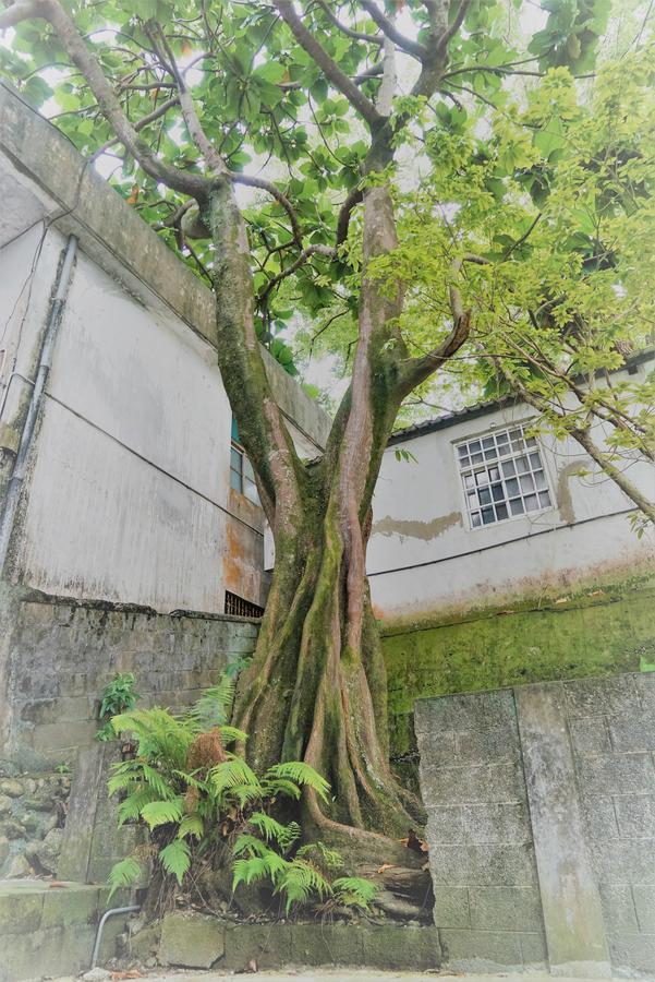 Literature River Bank 文學河岸 民宿 Hualien Exterior foto